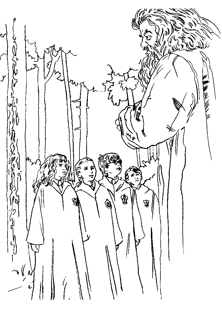 Kids-n-fun.com | Coloring page Harry Potter and the Philosophers Stone ...